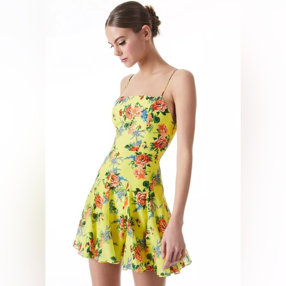 NWT!!! alice + olivia Spaghetti Strap Dress